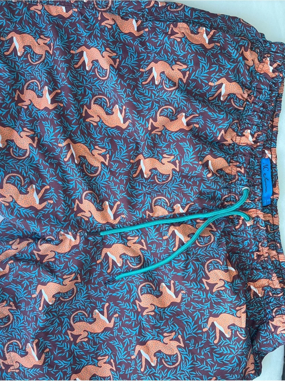 Mens One-Piece Swim Trunks with Fox Print - Teal Drawstring